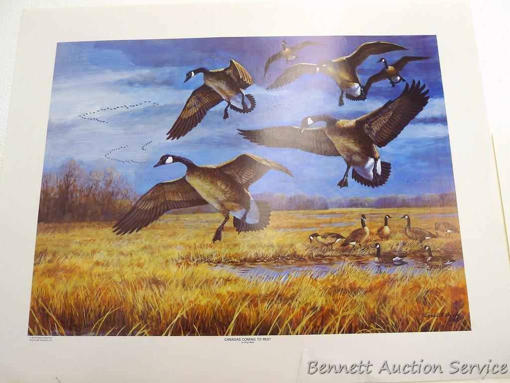 Signed & numbered print by Zoellick 'Canadian Mist', 22" x 28"; plus other Canada goose prints as