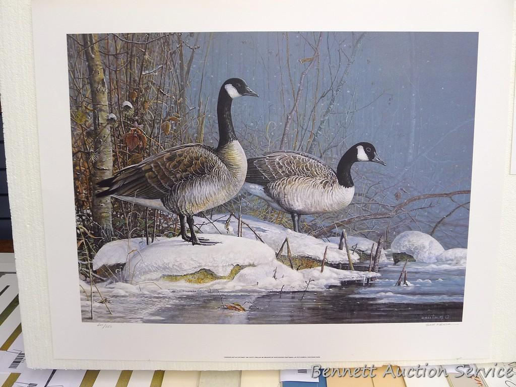 Signed & numbered print by Zoellick 'Canadian Mist', 22" x 28"; plus other Canada goose prints as