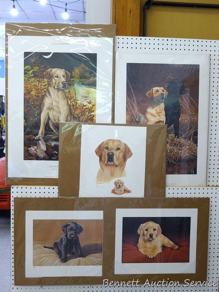 Four signed & numbered Labrador prints by Jerry Gadamus, Louis Frisino, and Marian