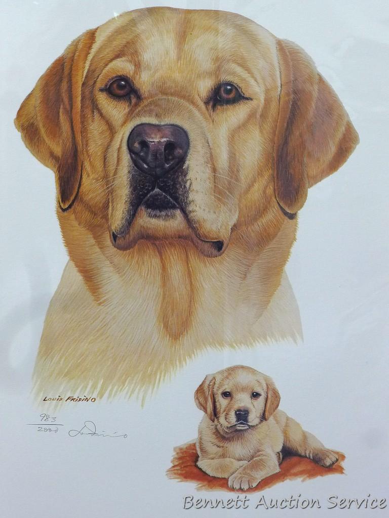 Four signed & numbered Labrador prints by Jerry Gadamus, Louis Frisino, and Marian