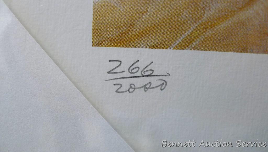 Four signed & numbered Labrador prints by Jerry Gadamus, Louis Frisino, and Marian