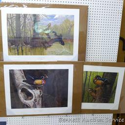 Three signed & numbered wood duck prints by Larry Barton and Lee LeBlanc. Larry Barton 'Morning