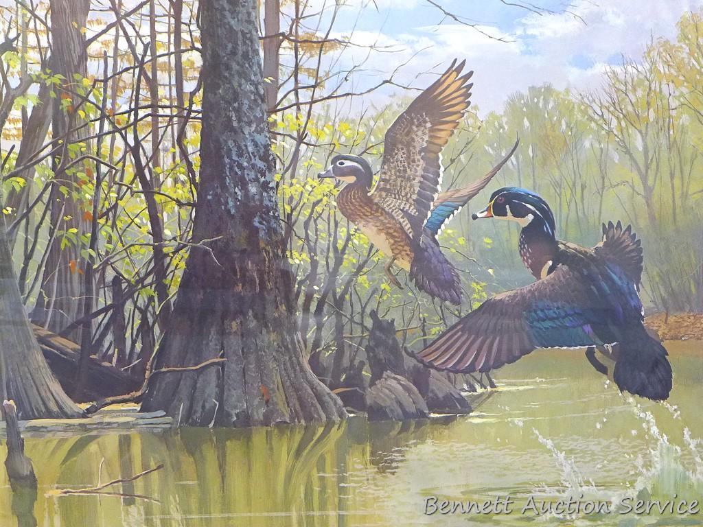 Three signed & numbered wood duck prints by Larry Barton and Lee LeBlanc. Larry Barton 'Morning
