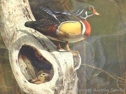 Three signed & numbered wood duck prints by Larry Barton and Lee LeBlanc. Larry Barton 'Morning
