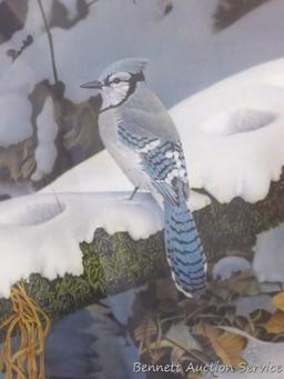 Signed & numbered Bluejay print by Jerry Gadamus, 344/600, 30" x 26".