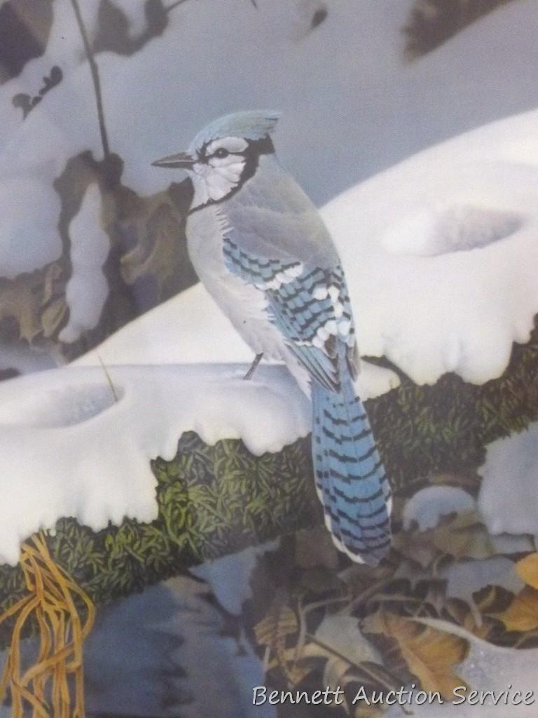Signed & numbered Bluejay print by Jerry Gadamus, 344/600, 30" x 26".