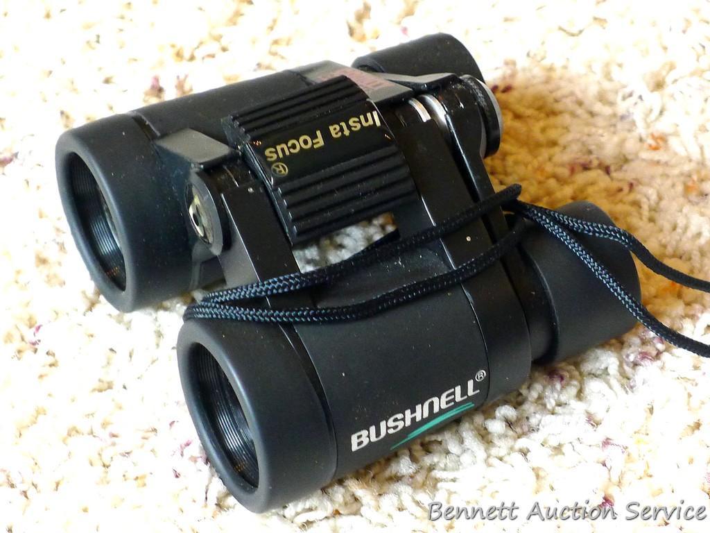 Bushnell Insta-Focus pocket size 4x30 binoculars with case, adjust as they should; The Audubon