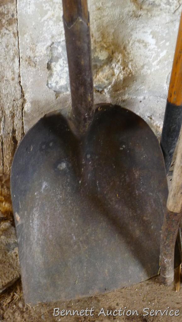 Five misc. handles; scoop shovel with wooden handle; cute 27" spade shovel; rake and more.
