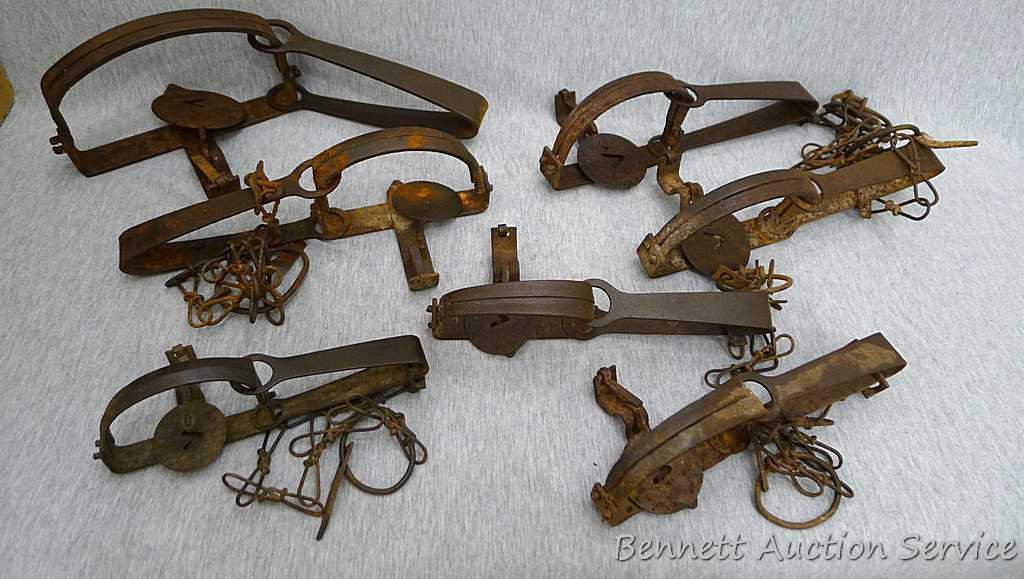 Five Victor cast jaw traps including numbers 0, 1, 1-1/2 single spring traps; Plus another similar