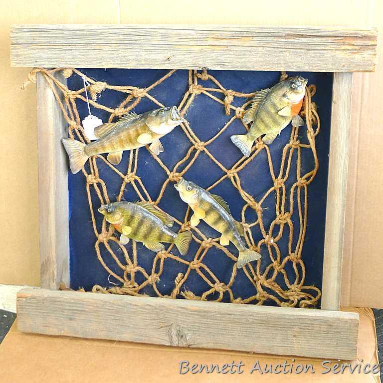 Large wooden fish mount display wall hanging. Display measures approx.. 29" x 26" x 6".