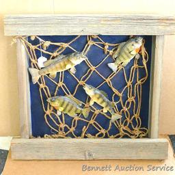 Large wooden fish mount display wall hanging. Display measures approx.. 29" x 26" x 6".