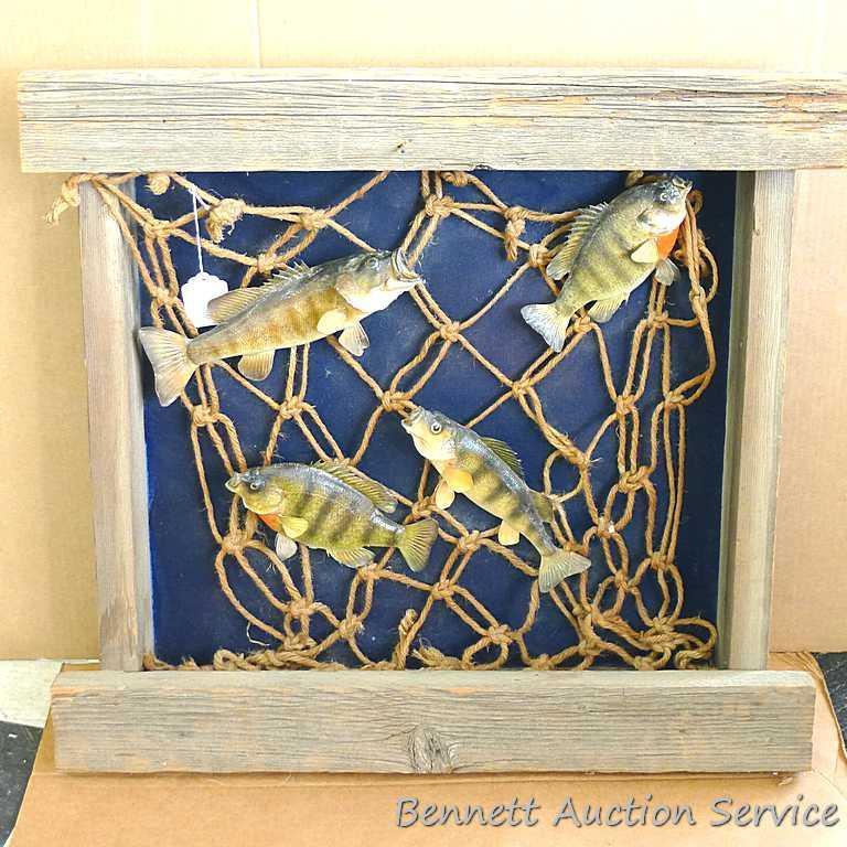 Large wooden fish mount display wall hanging. Display measures approx.. 29" x 26" x 6".