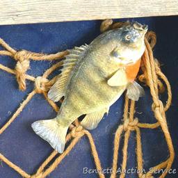 Large wooden fish mount display wall hanging. Display measures approx.. 29" x 26" x 6".