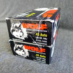 100 rounds of Wolf .45 ACP 230 grain FMJ ammunition