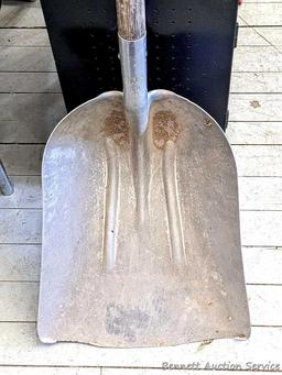 Nice grain scoop.