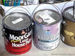 Tractor and implement enamel, wood stain, linseed oil, paint, butane fuel, spray paint, ceiling
