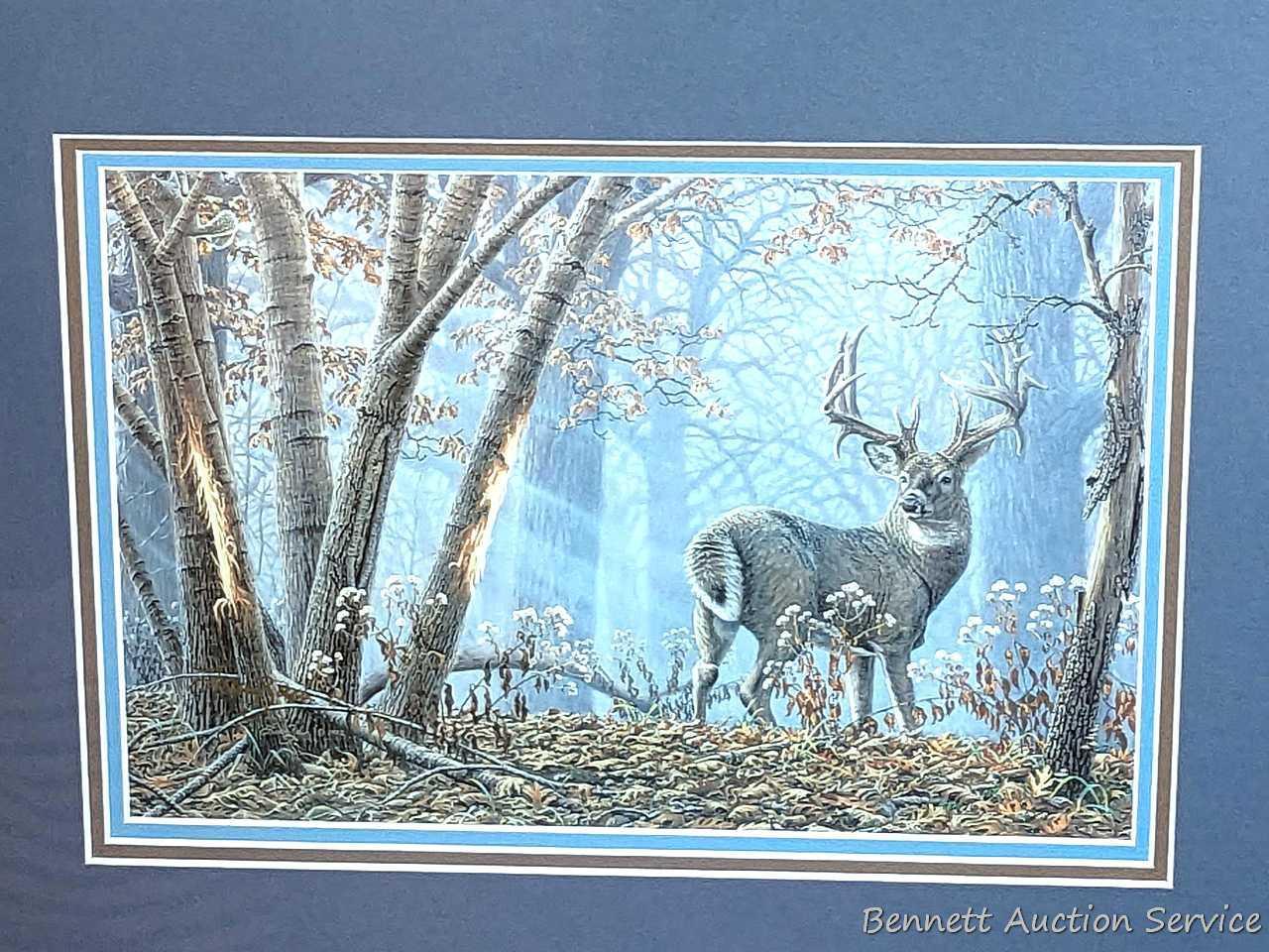 Framed Whitetails Unlimited print measures approx. 34" x 19" over frame.