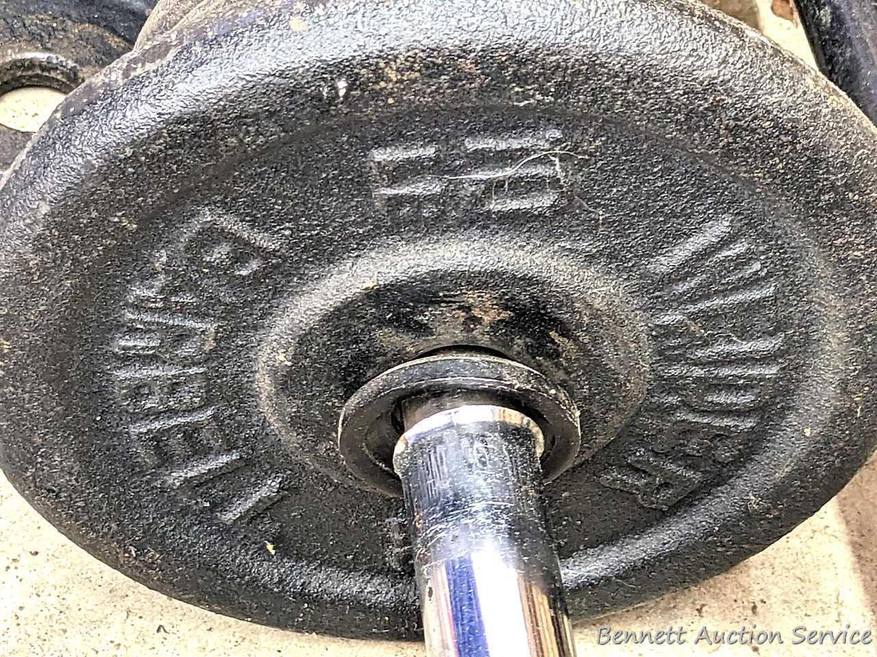 Cast iron and other free weights, plus dumb bell bars and a bench press bar.