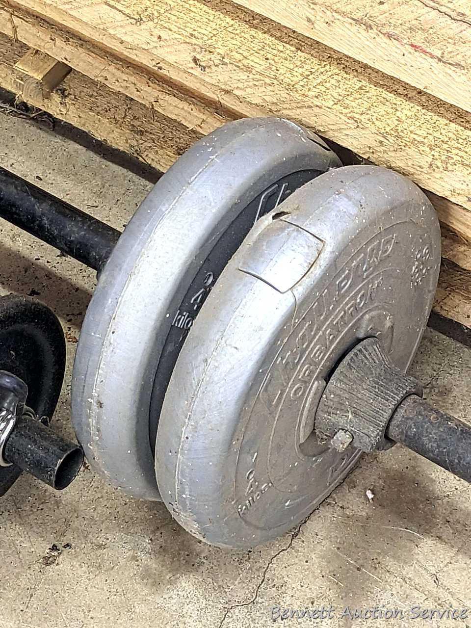 Cast iron and other free weights, plus dumb bell bars and a bench press bar.