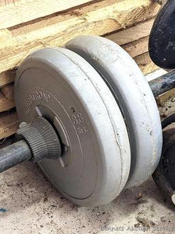 Cast iron and other free weights, plus dumb bell bars and a bench press bar.