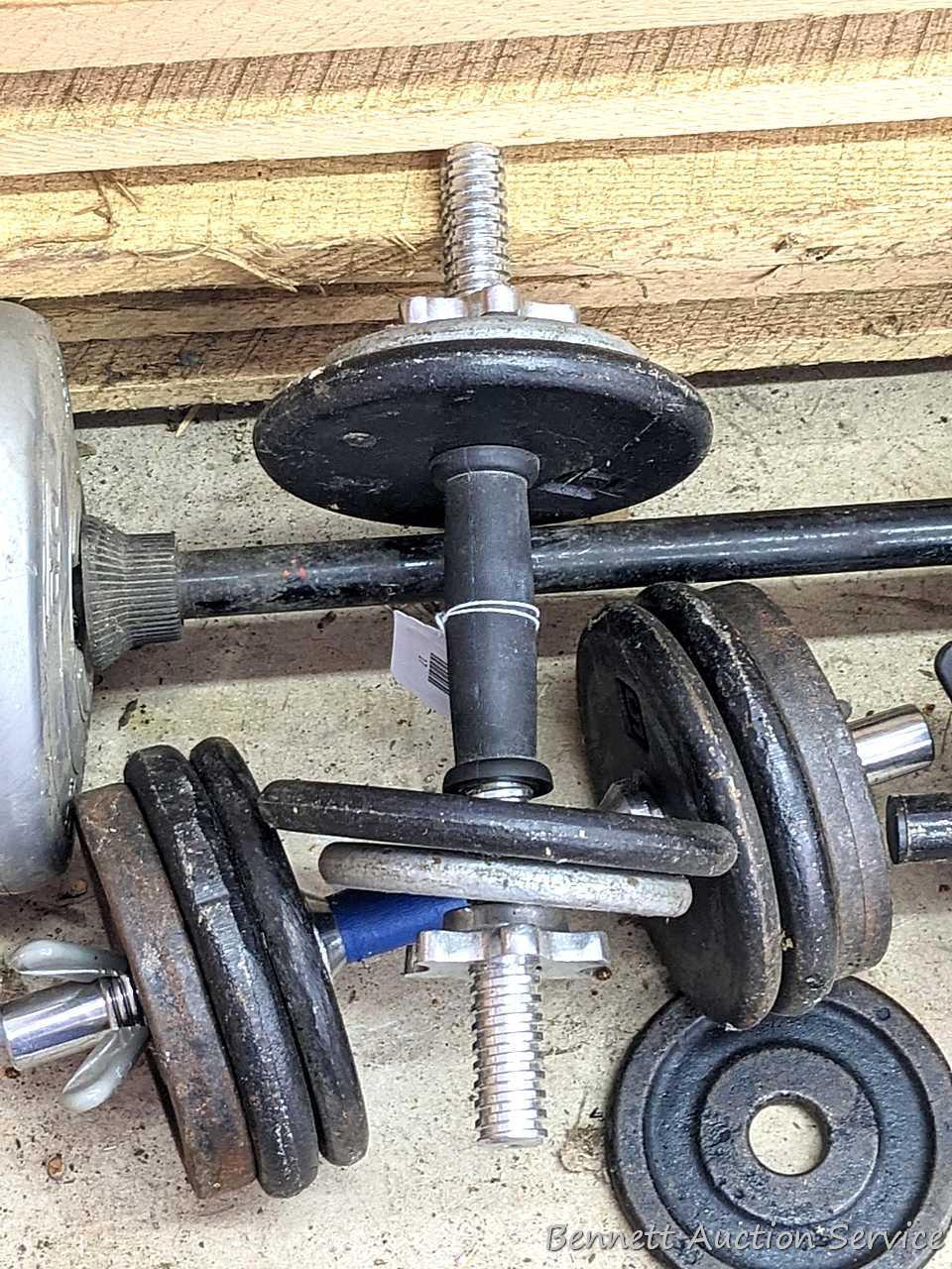 Cast iron and other free weights, plus dumb bell bars and a bench press bar.