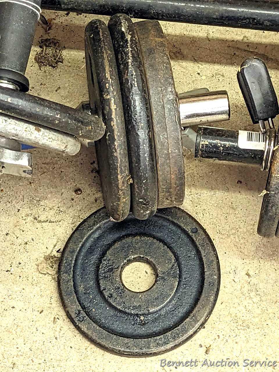 Cast iron and other free weights, plus dumb bell bars and a bench press bar.