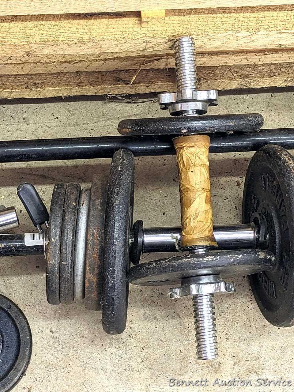 Cast iron and other free weights, plus dumb bell bars and a bench press bar.