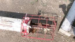16' HYDRAULIC DRILL FILL AUGER w / distributer spout