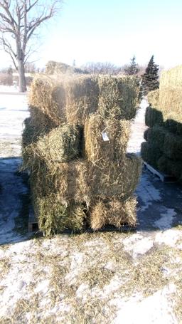 26 BALES 3RD CUTTING PRIME  ALFALFA IN SMALL SQUARES,    ( 26 X your bid )