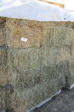 30-1ST CUTTING ALFALFA / GRASS SMALL SQ. BALES on pallets  ( 30 x your bid   )