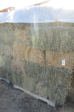 30-1ST CUTTING ALFALFA / GRASS SMALL SQ. BALES on pallets  ( 30 x your bid   )