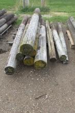 10-8'-9' WOOD FENCE POSTS ( 10 X YOUR BID )  (  10 X YOUR BID )