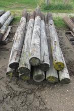 10-8'-9' WOOD FENCE POSTS ( 10 X YOUR BID )  (  10 X YOUR BID )