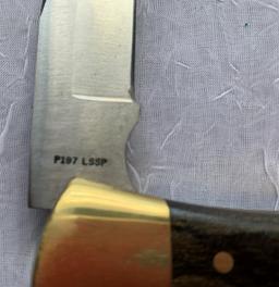 Case Shark Tooth  Knife