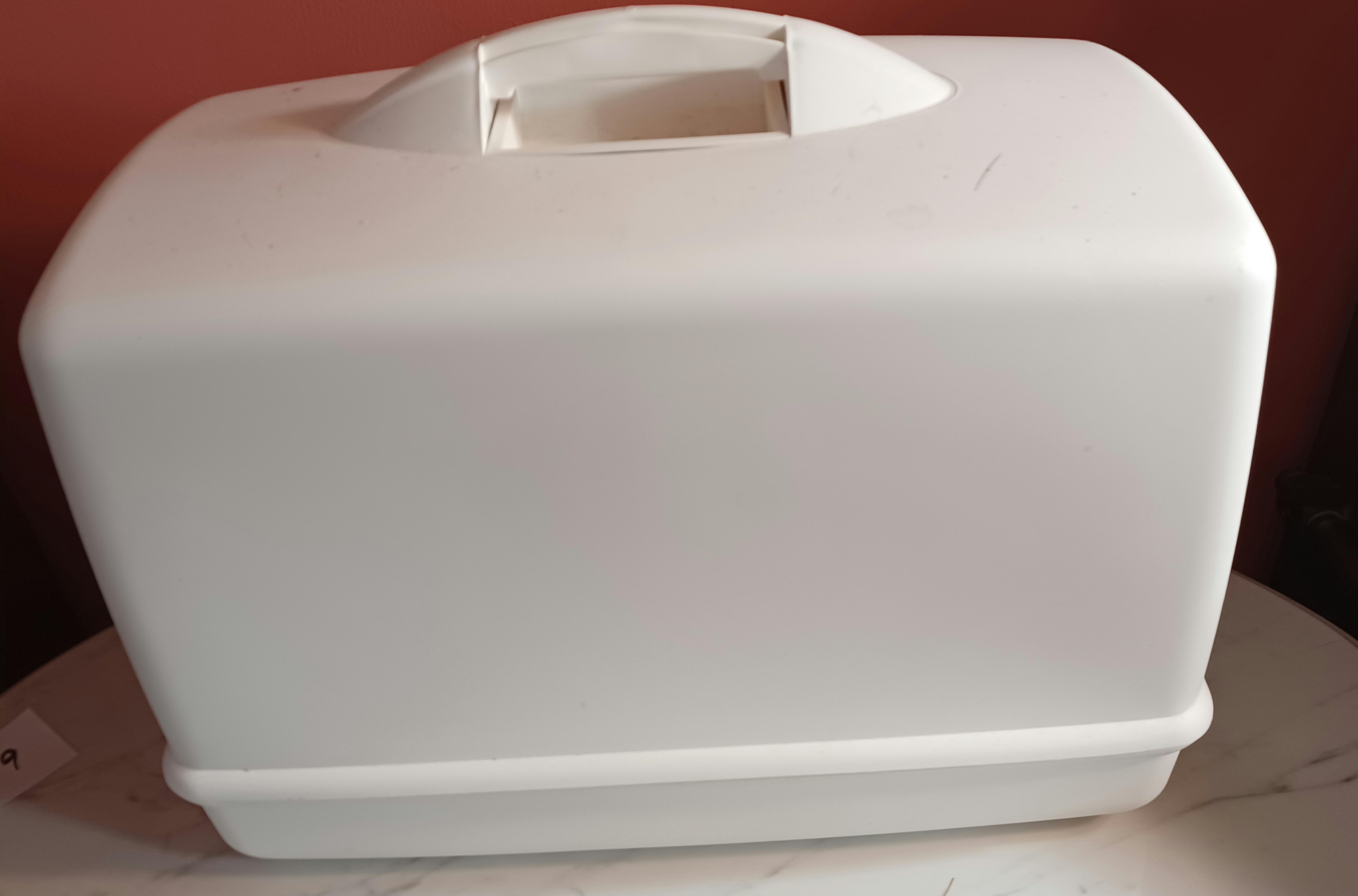Singer Sewing Machine in Case