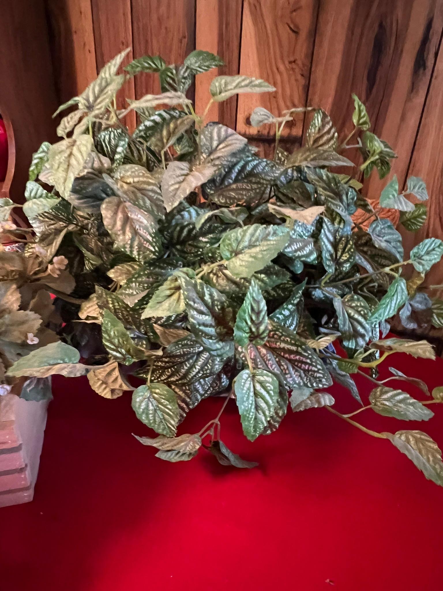 Floral and Fruit Arrangements