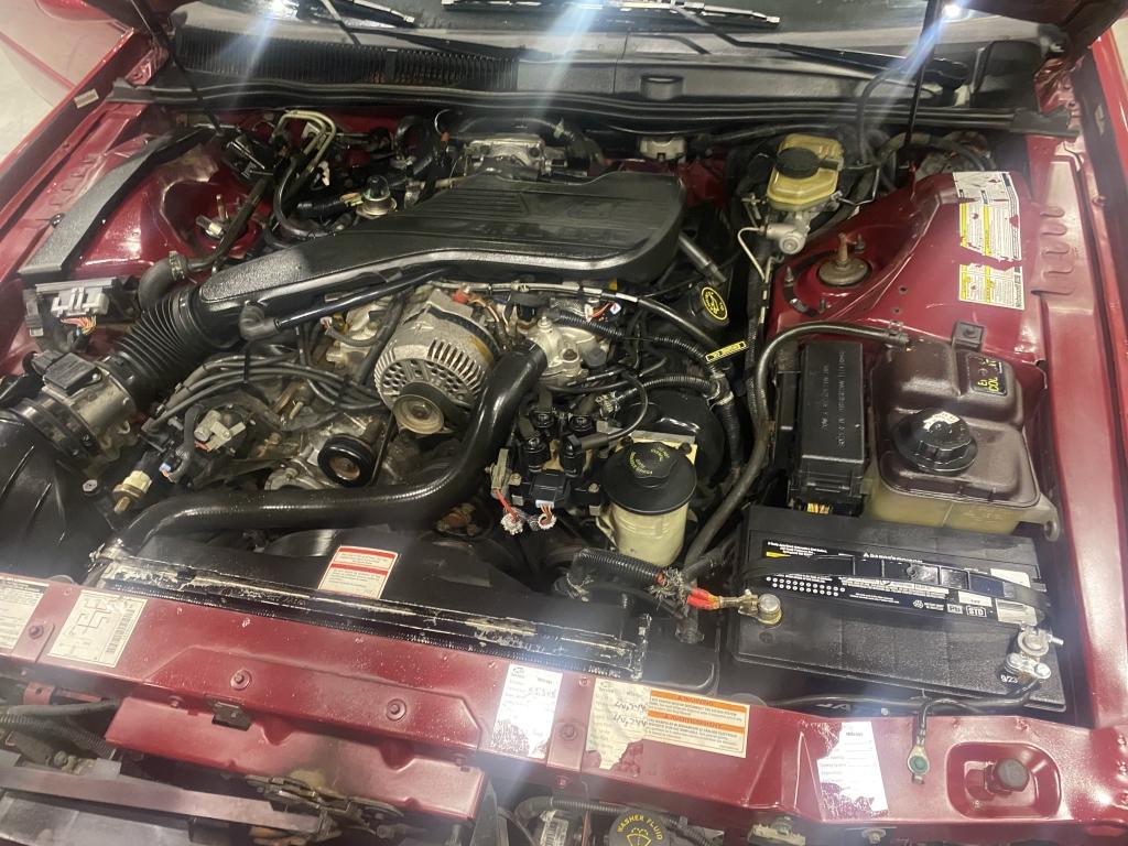 1994 Ford Thunderbird NO RESERVE
