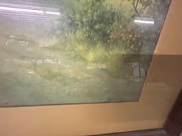 Framed Signed Print