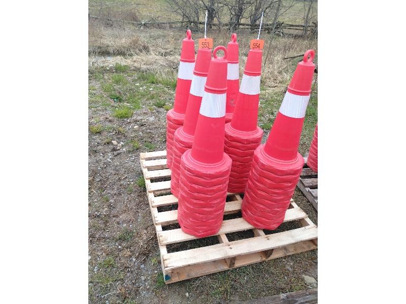 30 New Traffic Cones