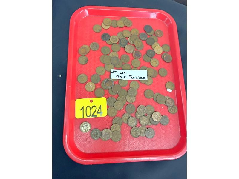 Tray of British Half Pennies