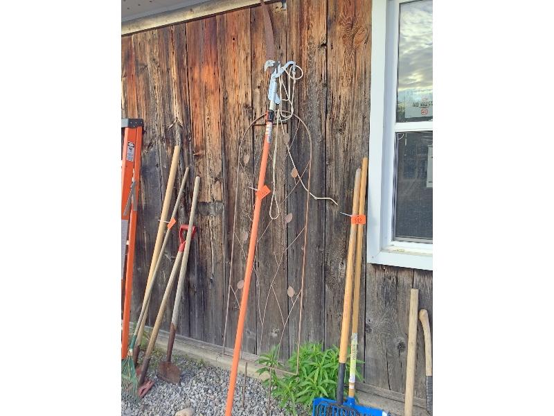 Pruning Pole & Metal Arbor