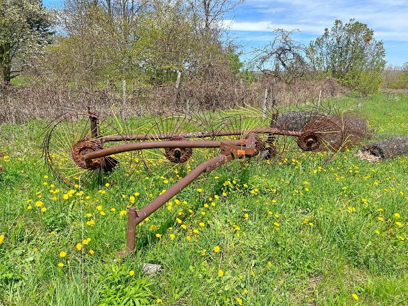 4 Wheel Hay Rake