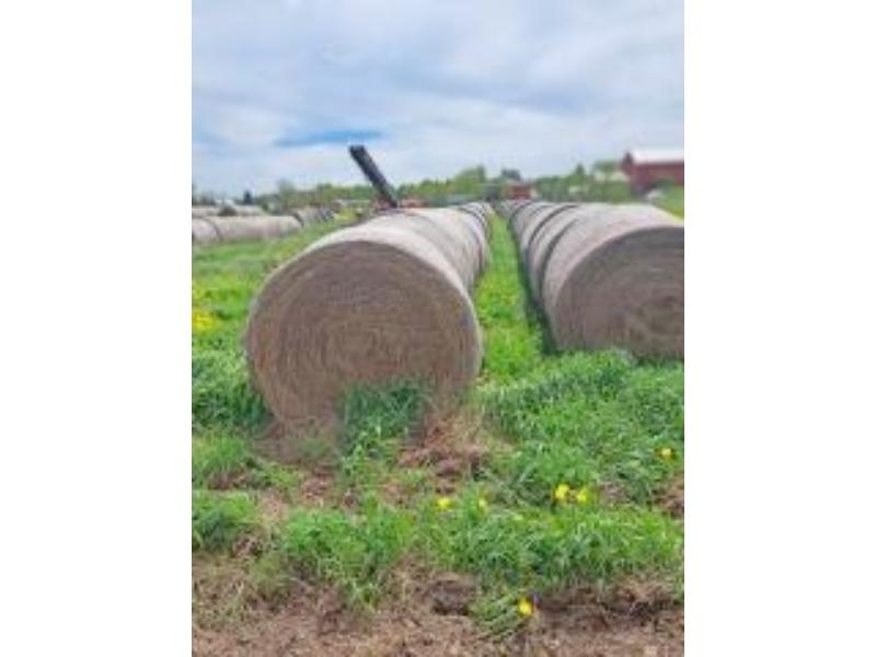 25 Bales of 1st Cut Dry Hay, Net Wrapped, Stored Inside