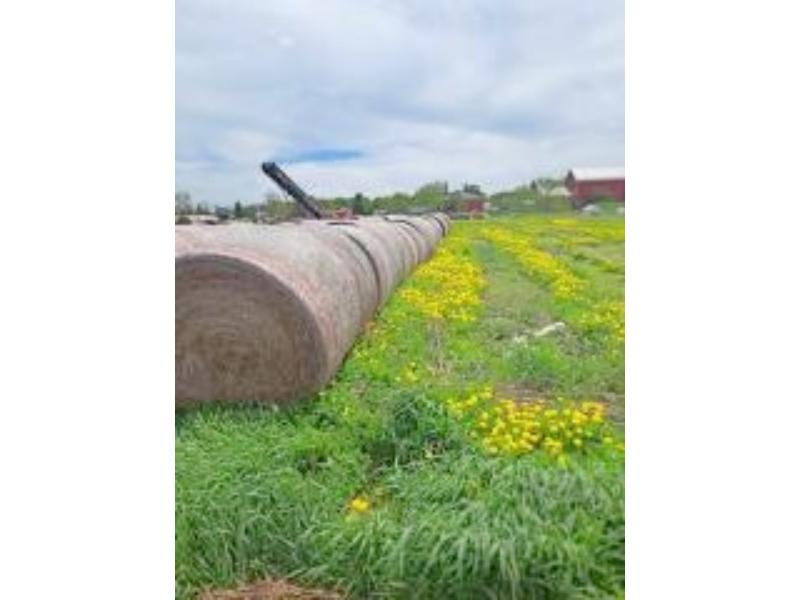 25 Bales of 1st Cut Dry Hay, Net Wrapped, Stored Inside