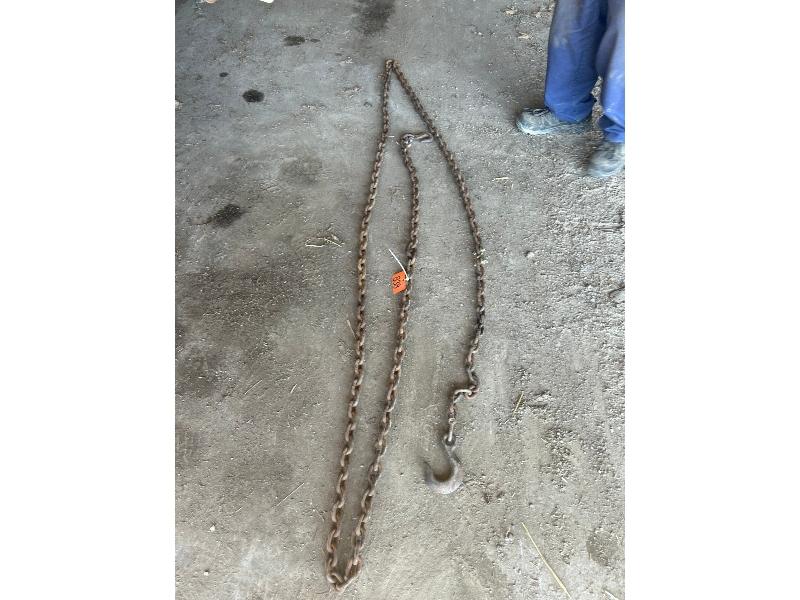 20' Chains - Hooks on Both Ends