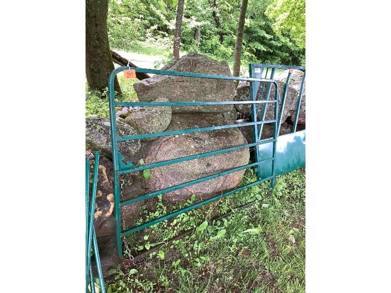 6' Gate