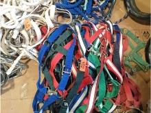 Horse Halters