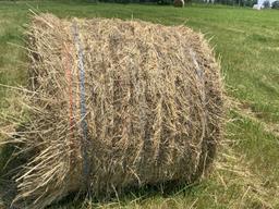 20 - 4x4 Baled by John Deere Round Baler, 2024 1st Cut Hay  - No Rain When Baled