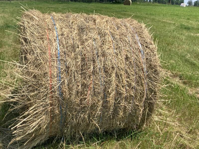 20 - 4x4 Baled by John Deere Round Baler, 2024 1st Cut Hay  - No Rain When Baled