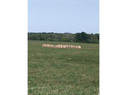 20 - 4x4 Baled by John Deere Round Baler, 2024 1st Cut Hay  - No Rain When Baled